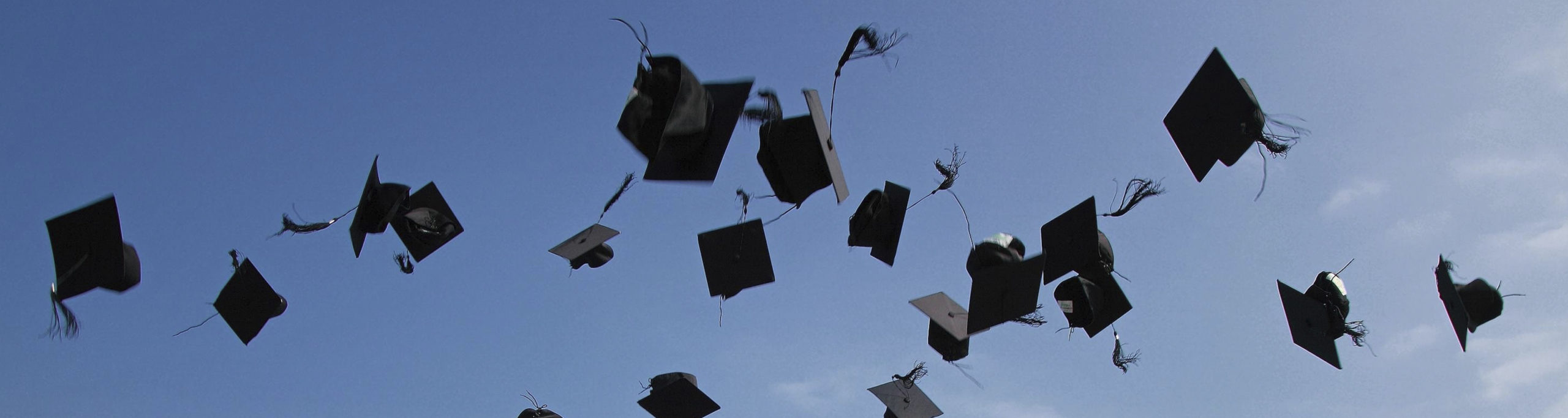 graduate